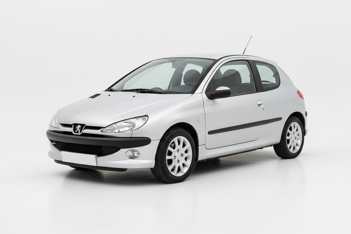 Peugeot 206 — Kit tubi freno aeronautici | GV Oleomatica