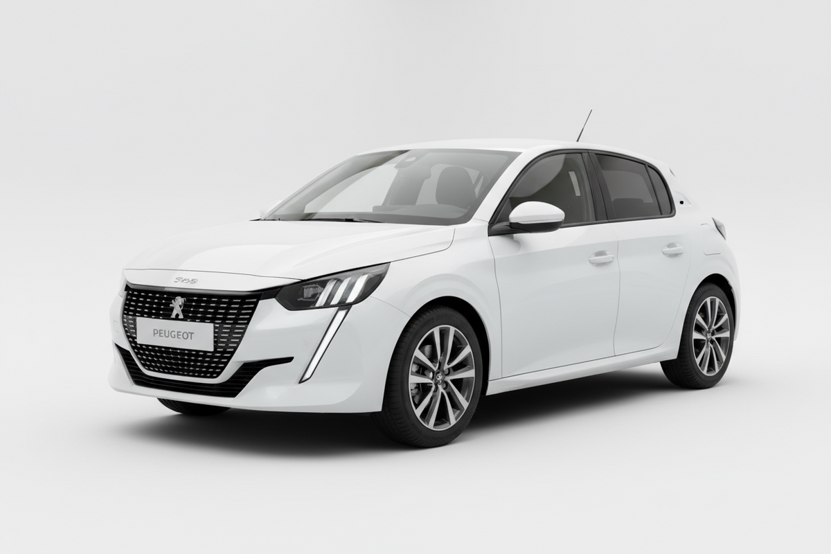 Peugeot 208 — Kit tubi freno aeronautici | GV Oleomatica