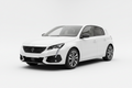 Peugeot 308 — Kit tubi freno aeronautici | GV Oleomatica